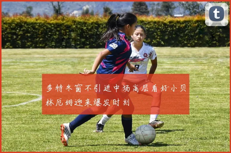 多特冬窗不引进中场高层看好小贝林厄姆迎来爆发时刻