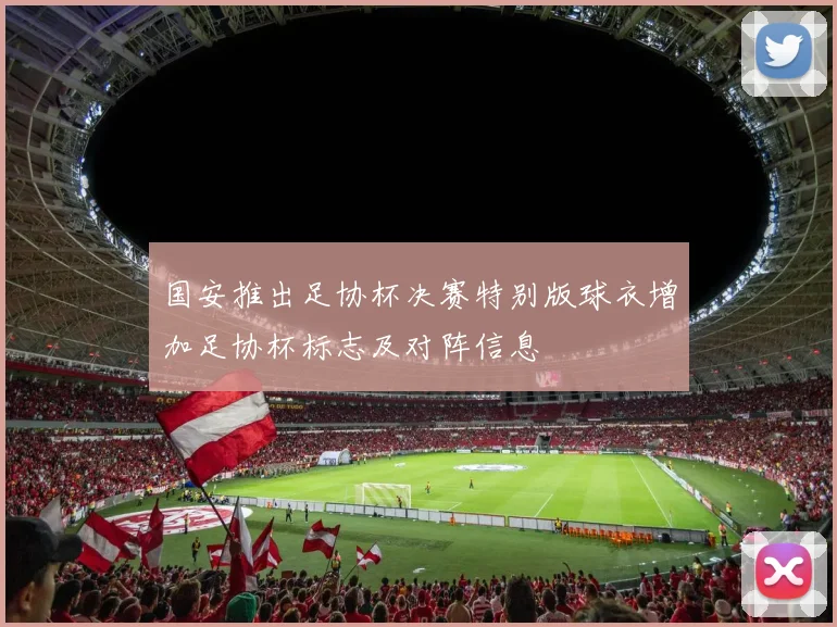 国安推出足协杯决赛特别版球衣增加足协杯标志及对阵信息