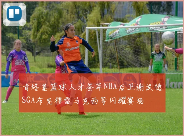 肯塔基篮球人才荟萃NBA后卫谢泼德SGA布克穆雷马克西等闪耀赛场
