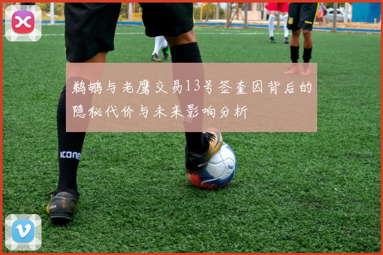 鹈鹕与老鹰交易13号签奎因背后的隐秘代价与未来影响分析