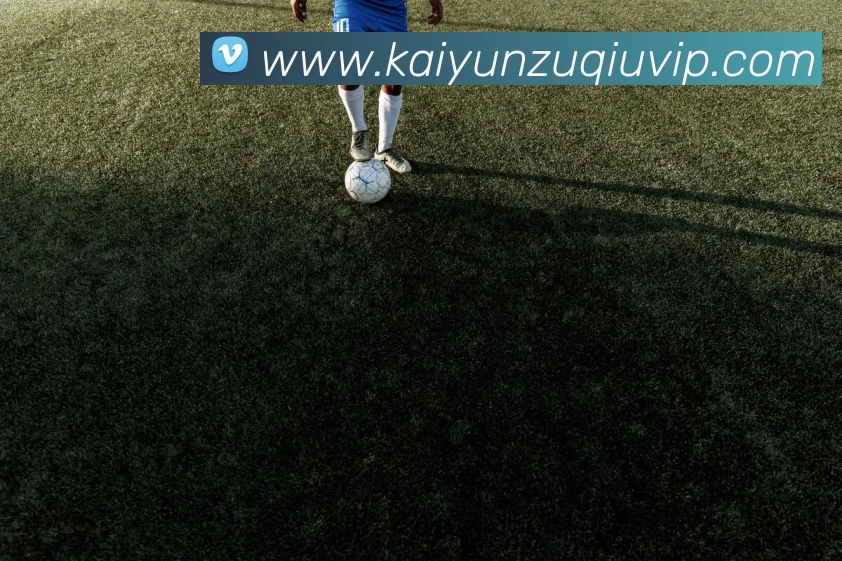 开云体育APP 封面图